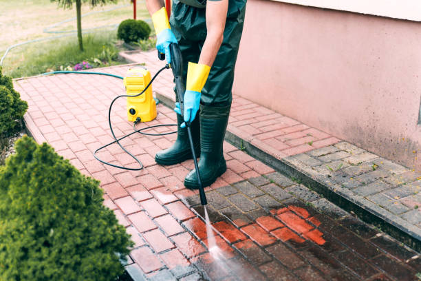 Best Animal Enclosure Cleaning  in Dover, OH